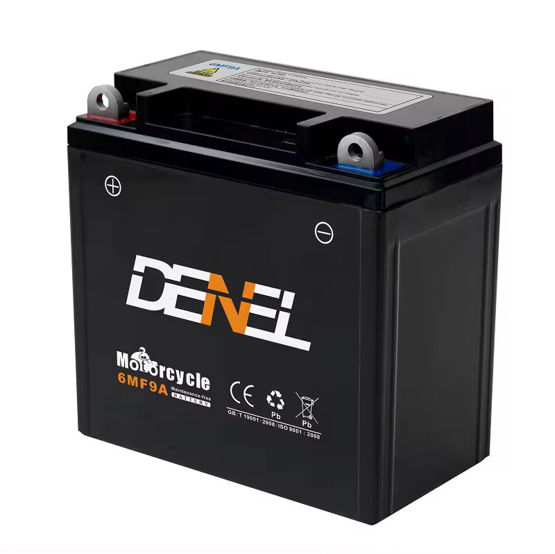 6MF9 DENEL Heavy Duty Dry Battery 9Ah