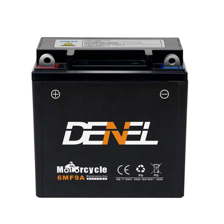 6MF9 DENEL Heavy Duty Dry Battery 9Ah